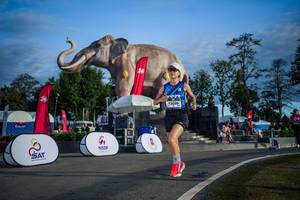 BIB: 
                            <button type="button" onclick="openModal(26541840)" class="btn btn-primary btn-sm float-right btn-popup" data-toggle="modal" data-target=".modal-high-quality">
                        <i class="fas fa-shopping-cart"></i> Add to Cart
                    </button>
                                            <button type="button" onclick="isThisMe(26541840, true)" class="btn btn-success btn-sm float-right btn-popup btn-isme hidden" data-toggle="tooltip" data-placement="bottom" title="นี่คือรูปของคุณใช่ไหม คลิกที่นี่เพื่อเอาเข้าอัลบั้ม">
                        <i class="fas fa-plus"></i> Add to album
                    </button>
                    <button type="button" onclick="isThisMe(26541840, false)" class="btn btn-warning btn-sm float-right btn-popup btn-isnotme hidden">
                        <i class="fas fa-ban"></i> Remove from album
                    </button>